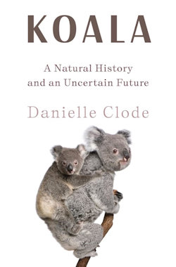 Koala book cover