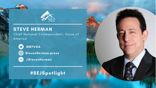 #SEJSpotlight graphic for Steve Herman
